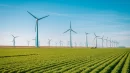 المشروعات الخضراء ؛ الطاقة المتجددة ؛ طاقة الرياح