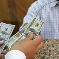 سوق النقد الأجنبي في مصر ؛ الدولار